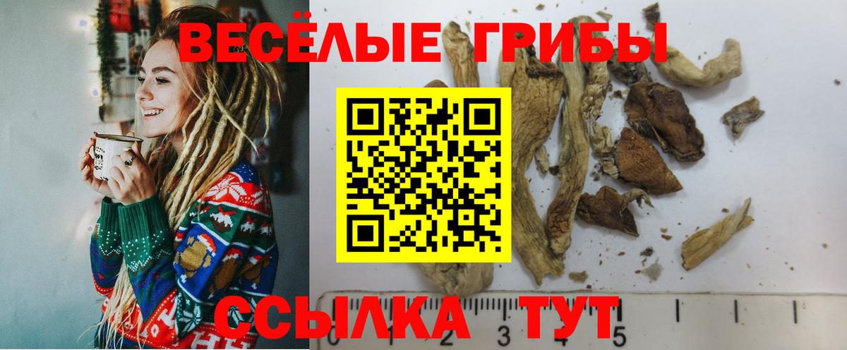 Бийск  Галлюциногенные грибы GOLDEN TEACHER  Вход с VPN 
