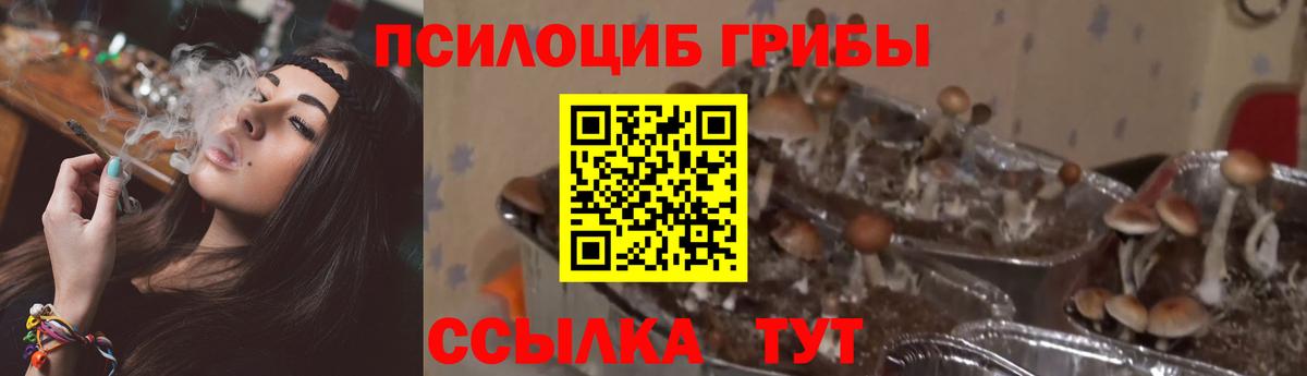 Галлюциногенные грибы мухоморы Бийск